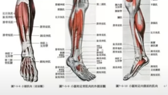 截圖 2025 11 18 晚上9.34.24