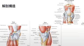 截圖 2025 11 18 晚上9.35.29